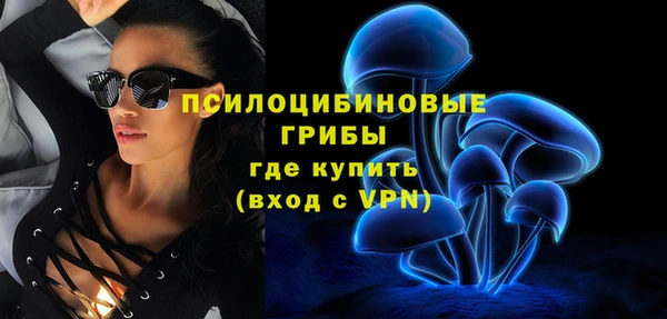 ПСИЛОЦИБИНОВЫЕ ГРИБЫ Алексин