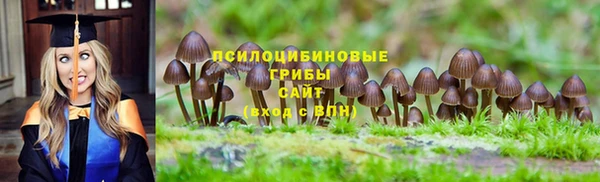 ALPHA PVP Алзамай