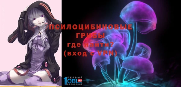 ПСИЛОЦИБИНОВЫЕ ГРИБЫ Алексин