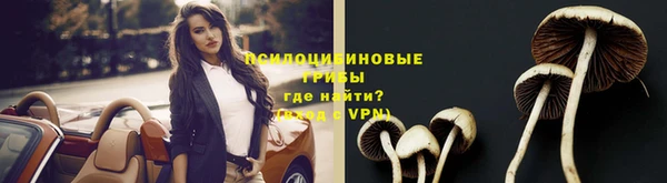 ALPHA PVP Алзамай
