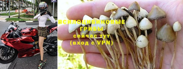 ALPHA PVP Алзамай