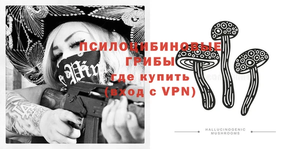 прущий лед Алексеевка