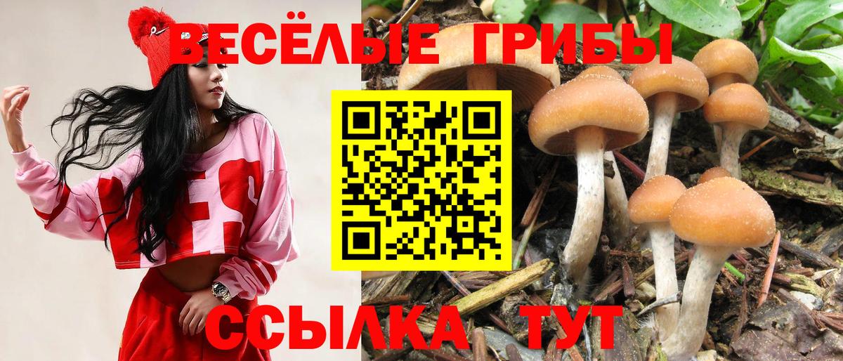 Псилоцибиновые грибы Cubensis Уфа